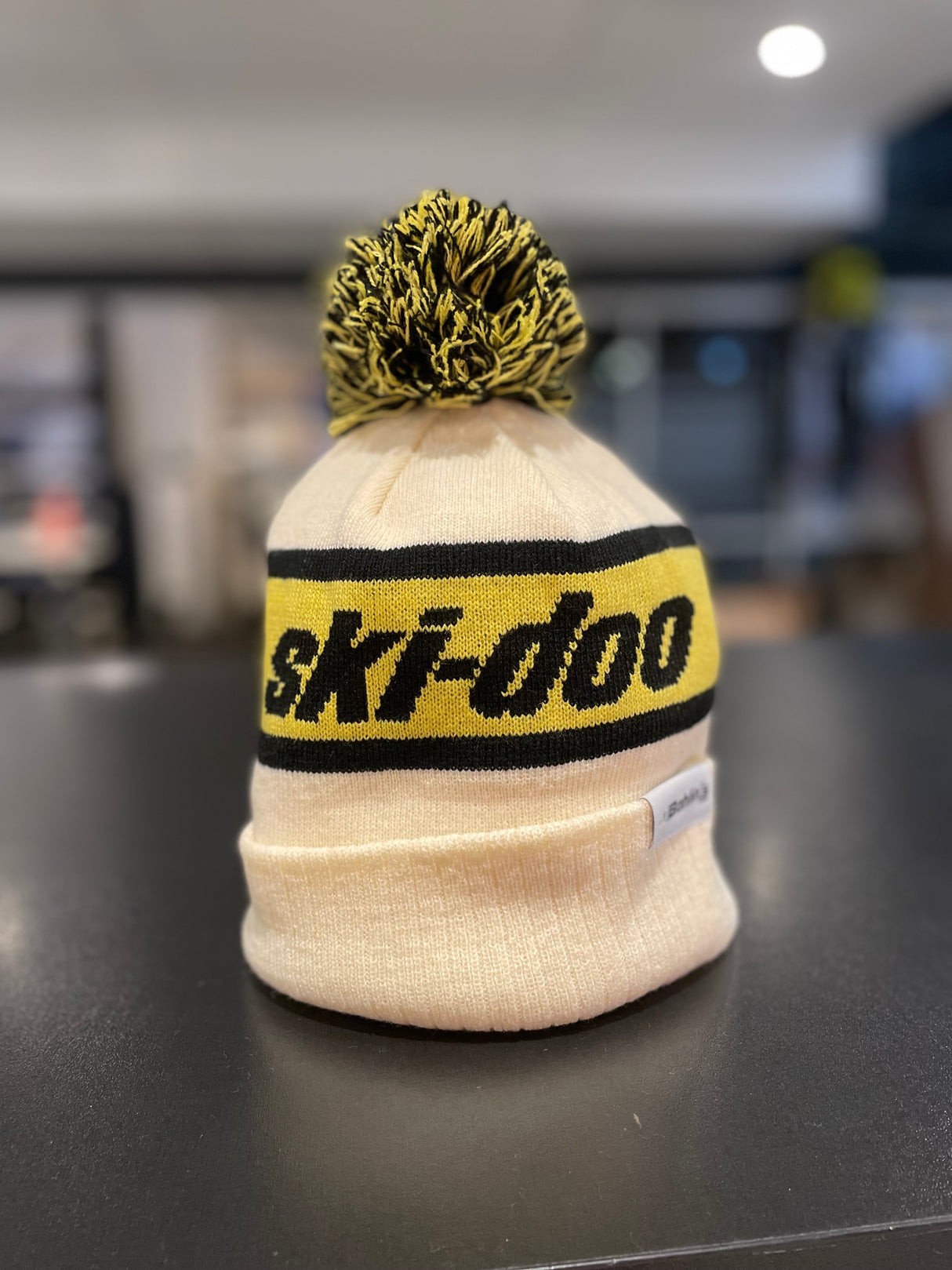 skidoomossa.jpg