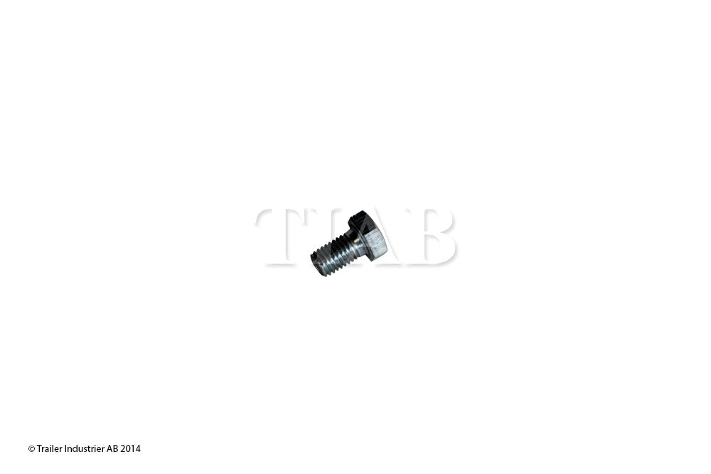Skruv M12X22