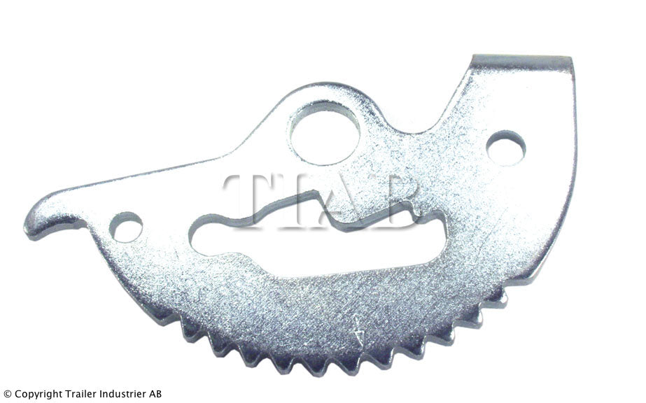Segment