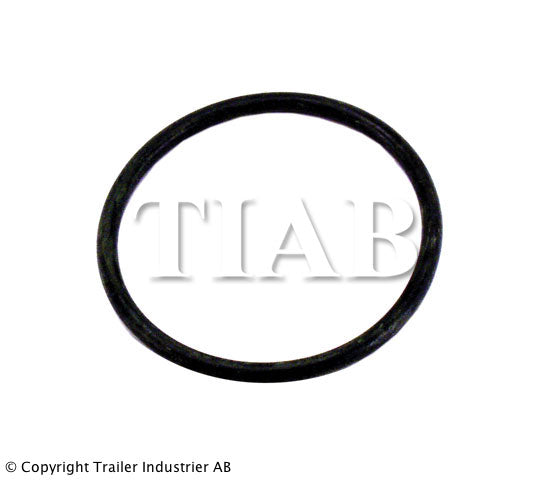 O-Ring