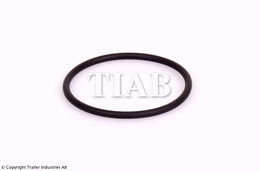 O-Ring