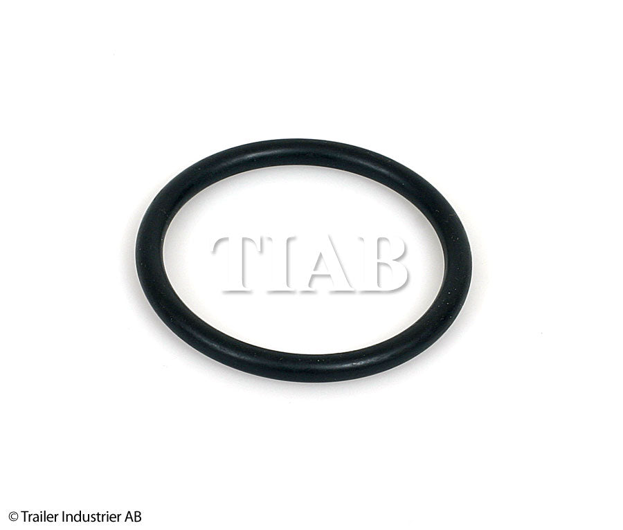 O-Ring
