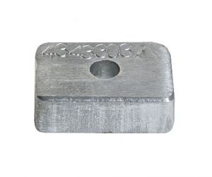 875208.jpg